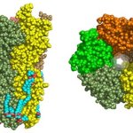 Nicotine May Help Alzheimer’s Sufferers