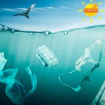 Recycled Plastic rPET Bottles