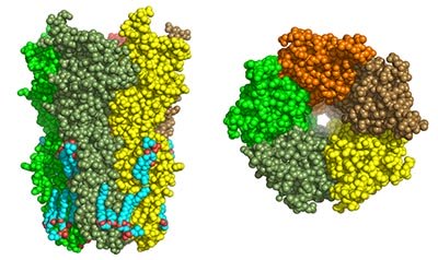 Nicotine May Help Alzheimer’s Sufferers